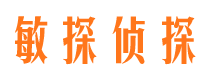 集贤市婚外情调查